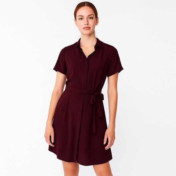 & Other Stories Wrap Tie Button Front Dress Brown Preppy Minimalist Old Money 4 - Picture 1 of 7